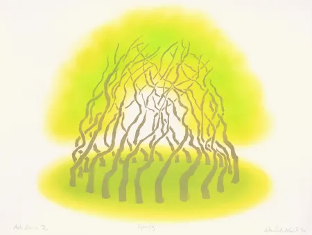 ステンシル Nash - Ash Dome, Spring