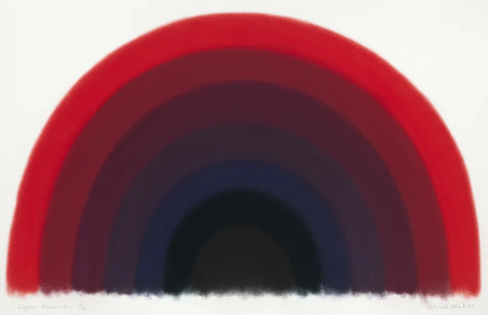 ステンシル Nash - Copper Beech Arc