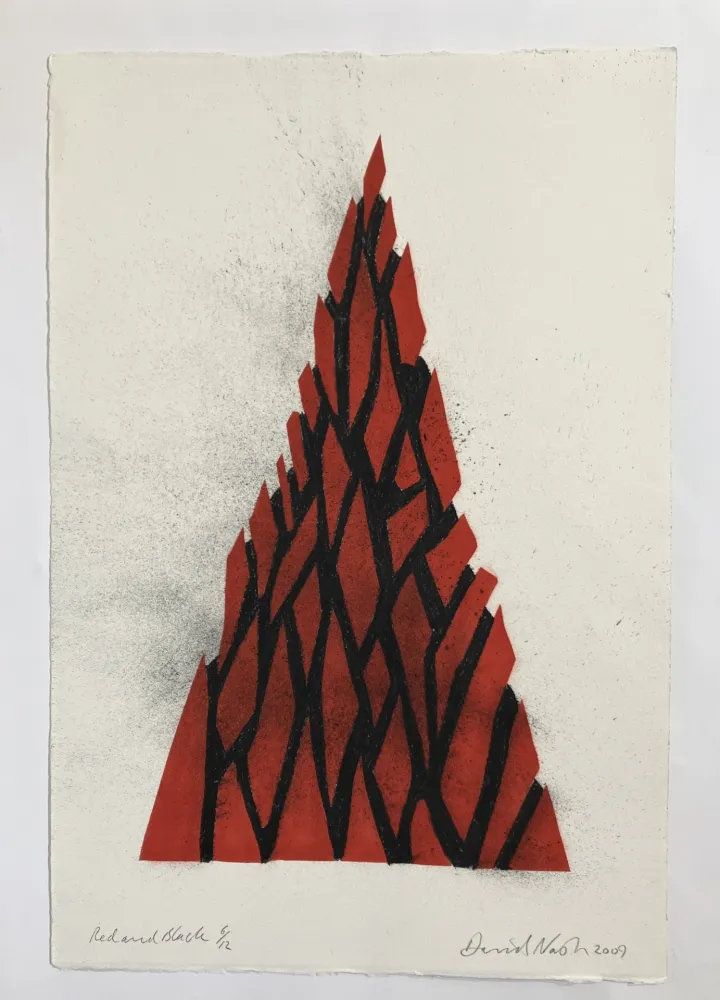 技術的なありません Nash - Red and black triangle, 2009