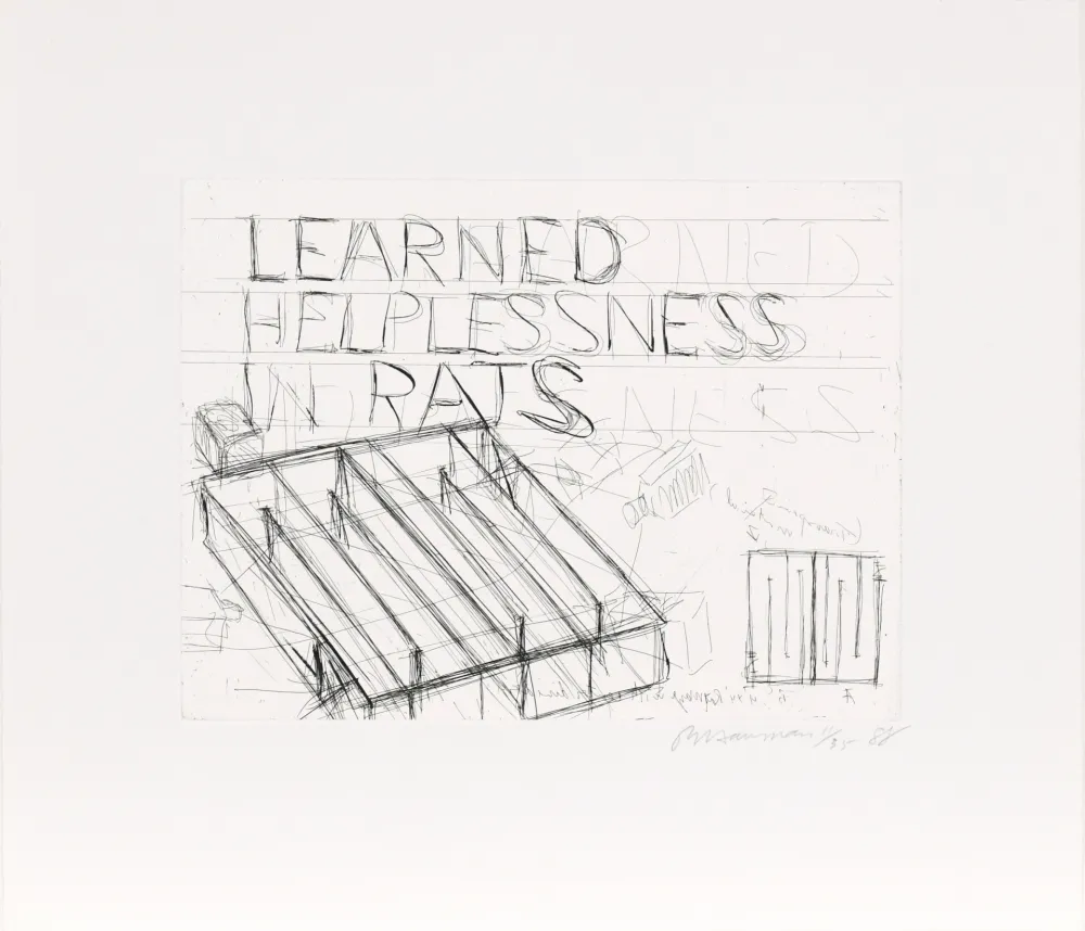 エッチング Nauman - Learned Helplessness from Rats