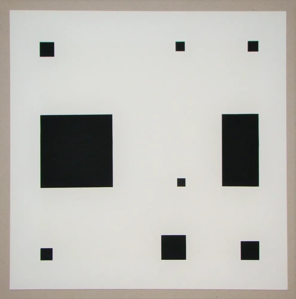 シルクスクリーン Nemours - Noir demi rose II