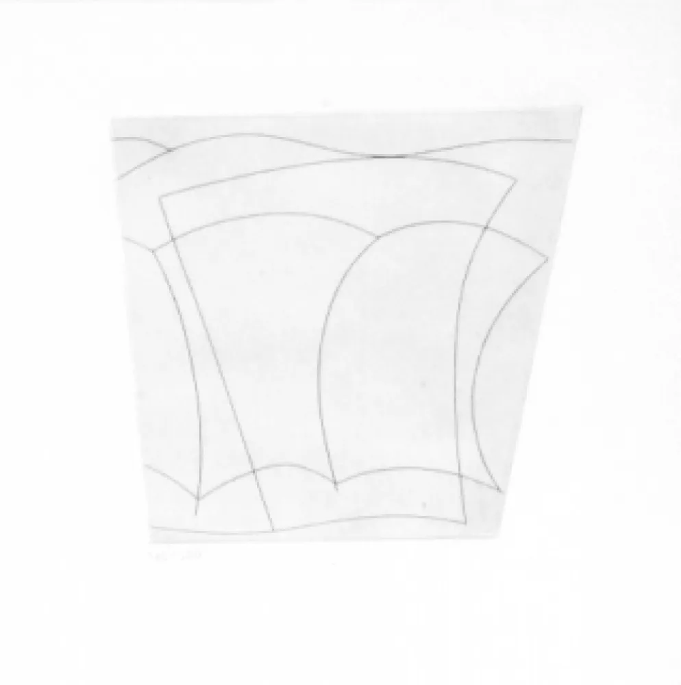 アクチアント Nicholson - SV1558