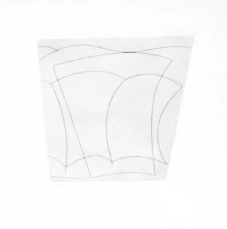 アクチアント Nicholson - SV1558