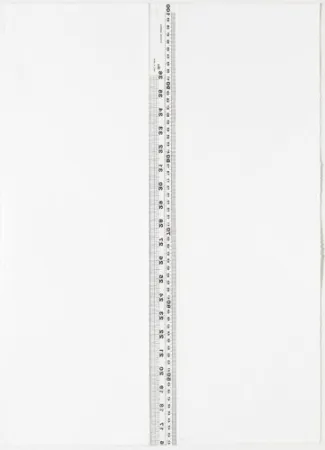 リトグラフ Nicolai - Diptych S/T