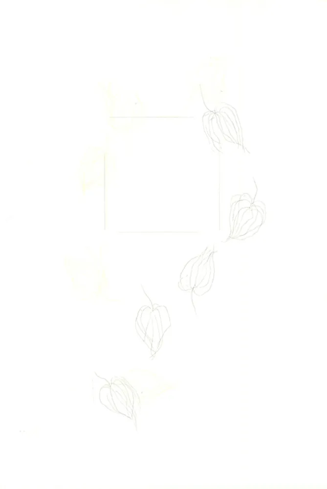 彫版 Nishikawa - Physalis