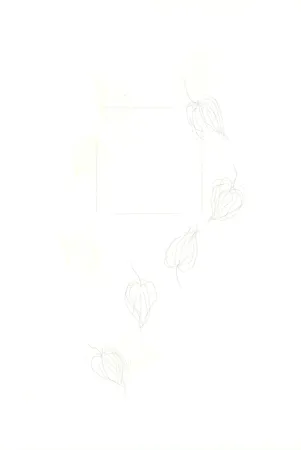 彫版 Nishikawa - Physalis