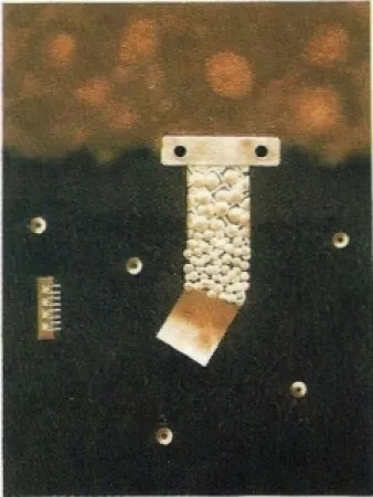 彫版 Nissen - Mariposa obsidiana 6