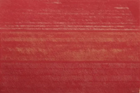 エッチング Noland - Portfolio 12th Anniversary of Galeria Joan Prats