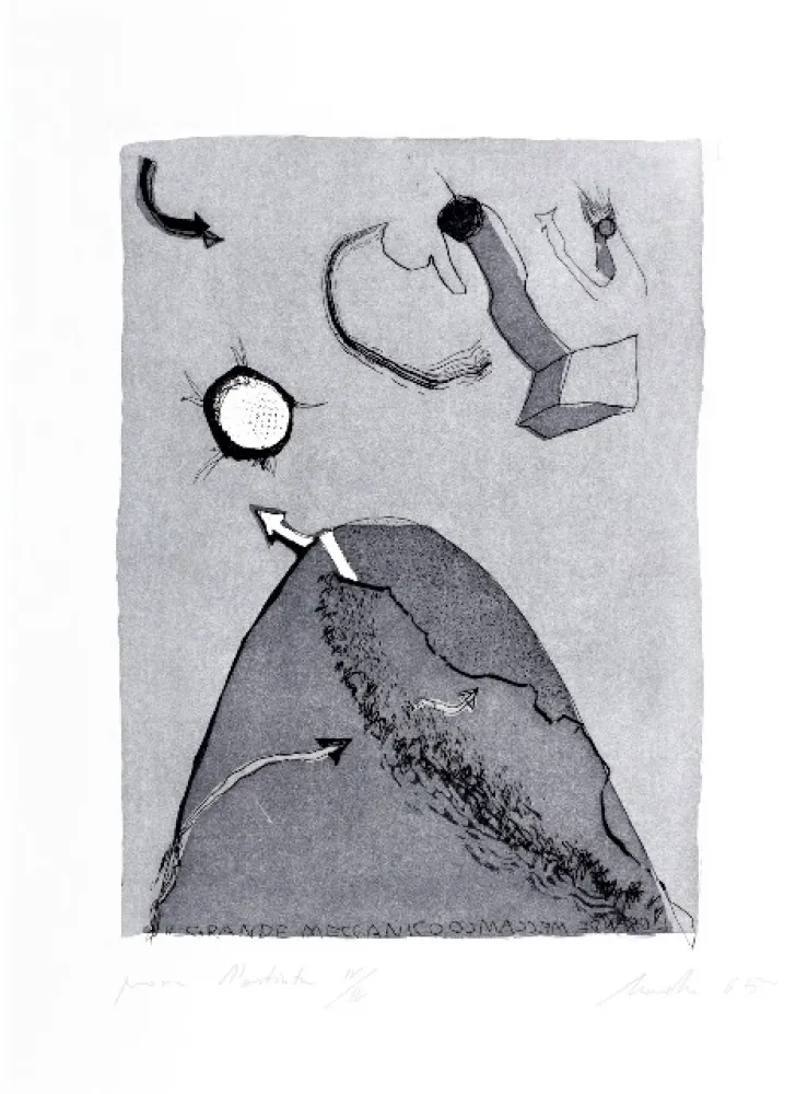 エッチングと　アクチアント Novelli - Il grande meccanico