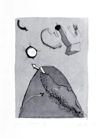 エッチングと　アクチアント Novelli - Il grande meccanico