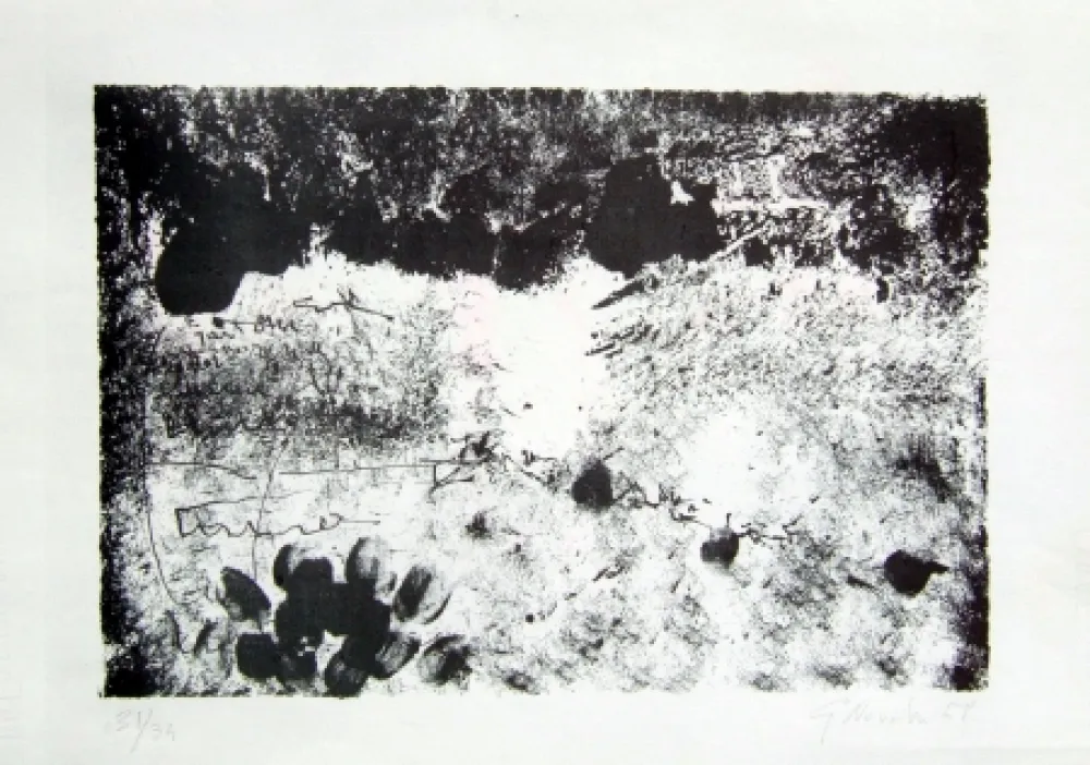 リトグラフ Novelli - Senza titolo