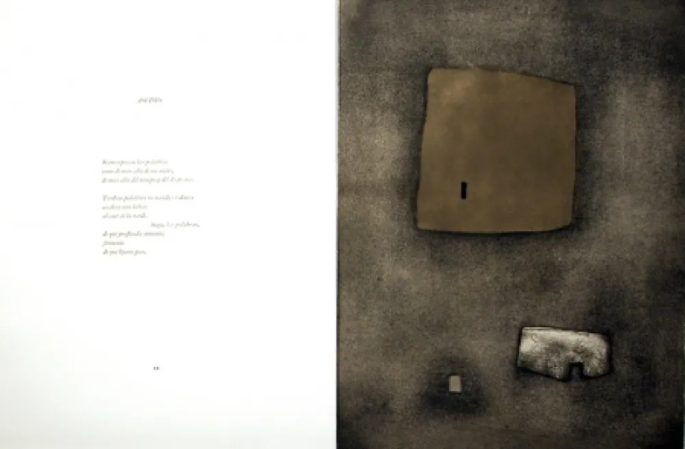 挿絵入り本 Nóvoa - Alén