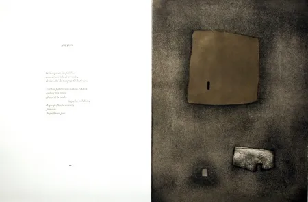 挿絵入り本 Nóvoa - Alén