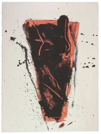 リトグラフ Nupen - Séance II