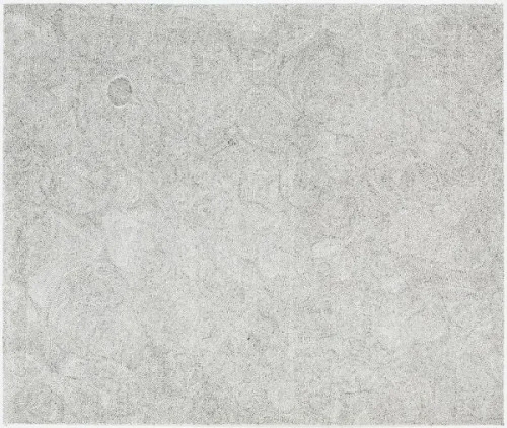 彫版 Ofili - Untitled