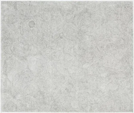 彫版 Ofili - Untitled