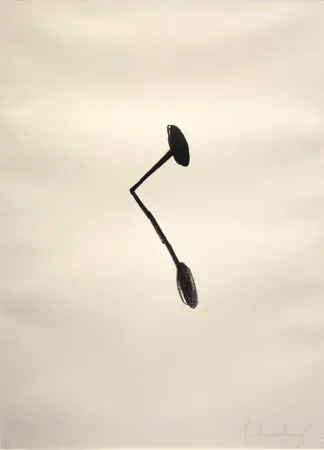 リトグラフ Oldenburg - Braque's Nail