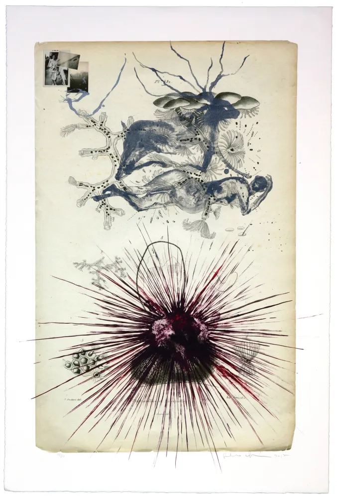 リトグラフ Olguin - Sans titre