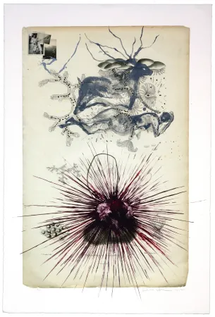 リトグラフ Olguin - Sans titre