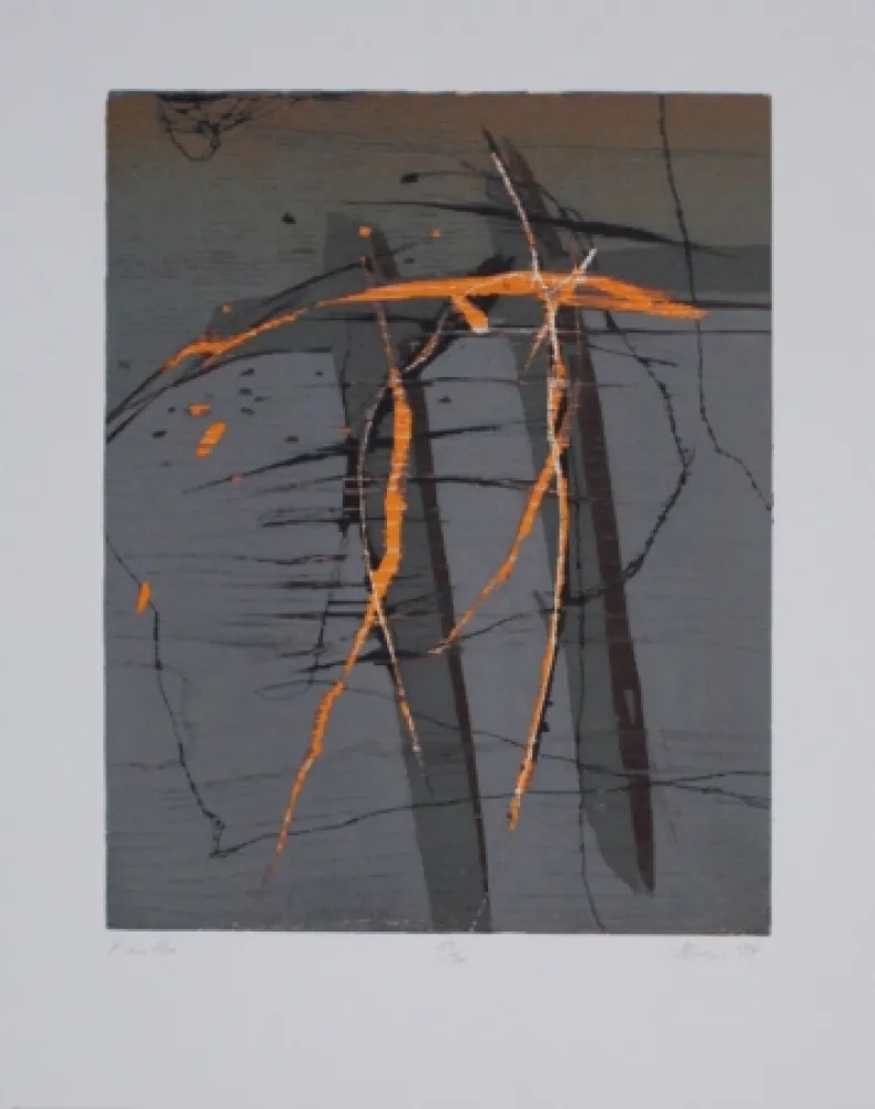 木版 Olschewski - Xantho