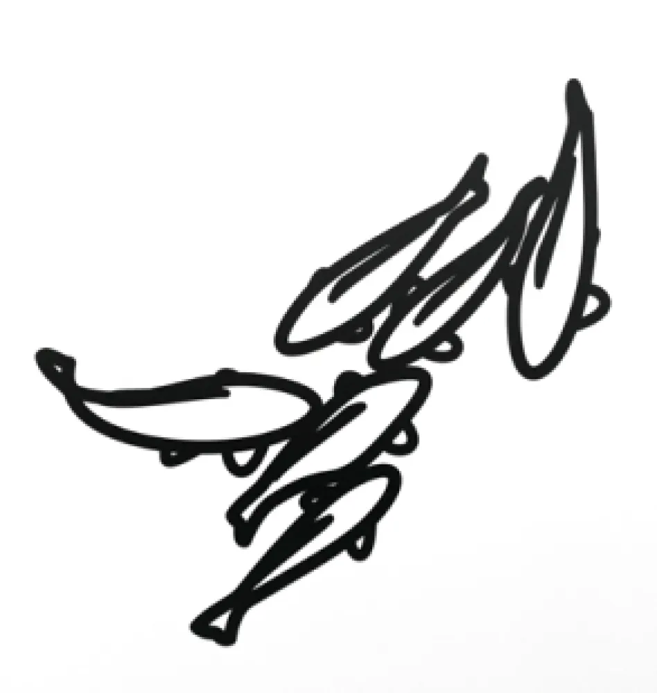 技術的なありません Opie - Carp 1, from Nature 1 Series