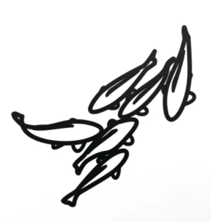 技術的なありません Opie - Carp 1, from Nature 1 Series