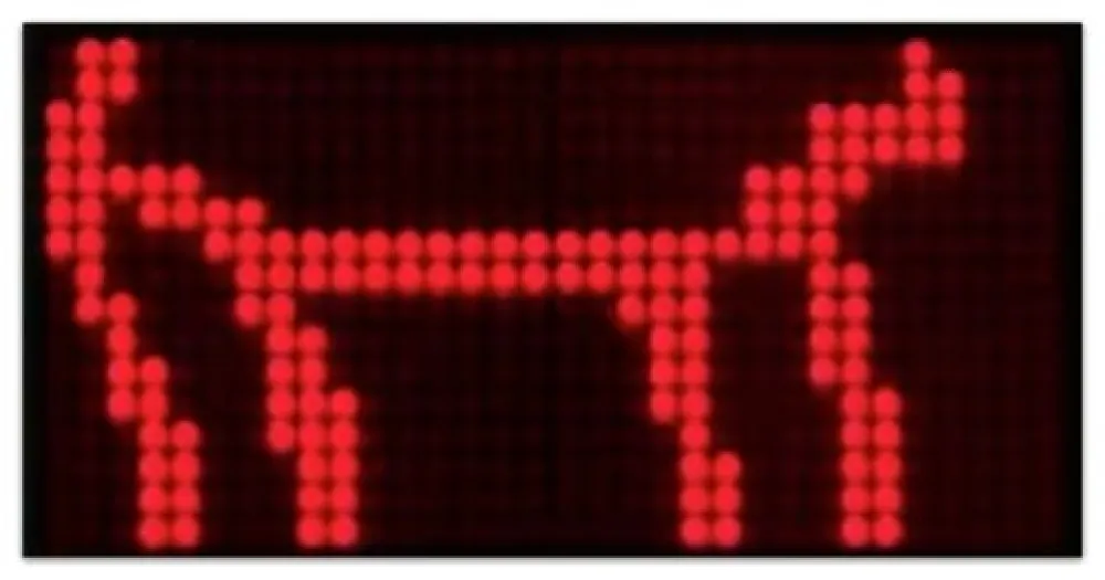 多数の Opie - Walk