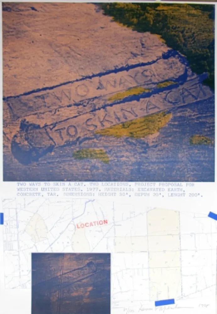 リトグラフ Oppenheim - Two Ways to Skin a Cat