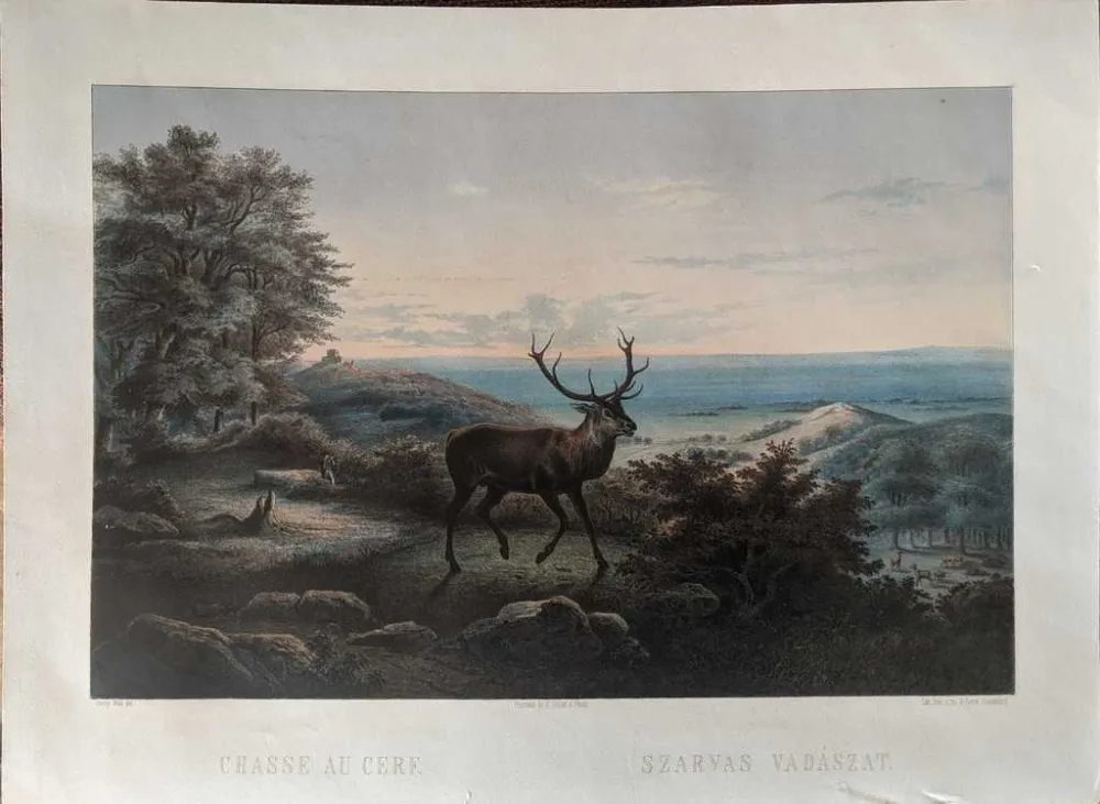 技術的なありません Orczy - Chasse au cerf / Szarvas vadászat