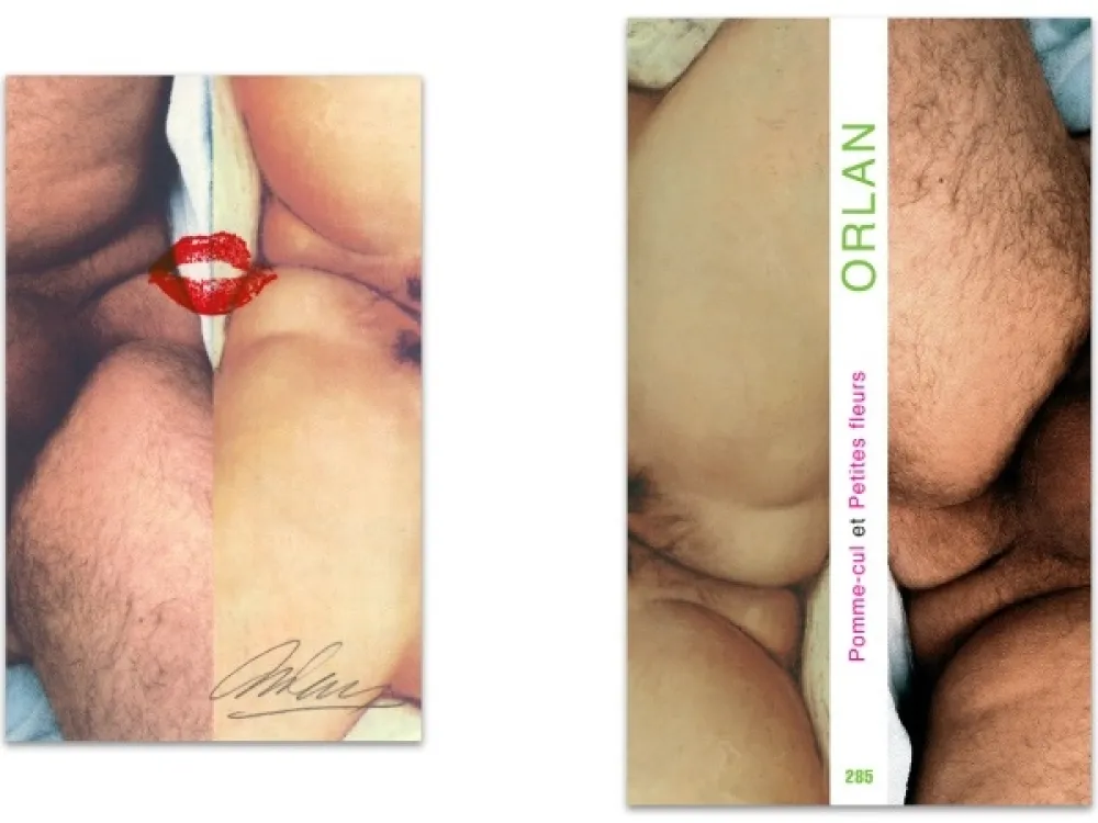 挿絵入り本 Orlan - L'art en écrit