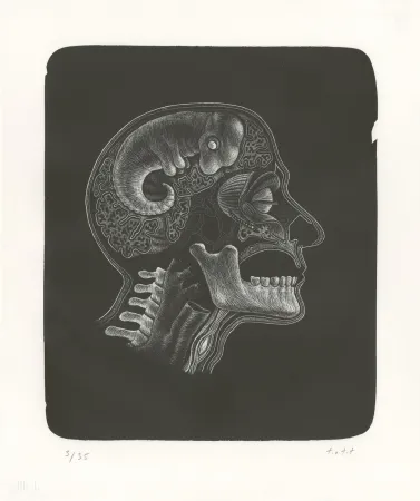 リトグラフ Ott - Idee (Idée)