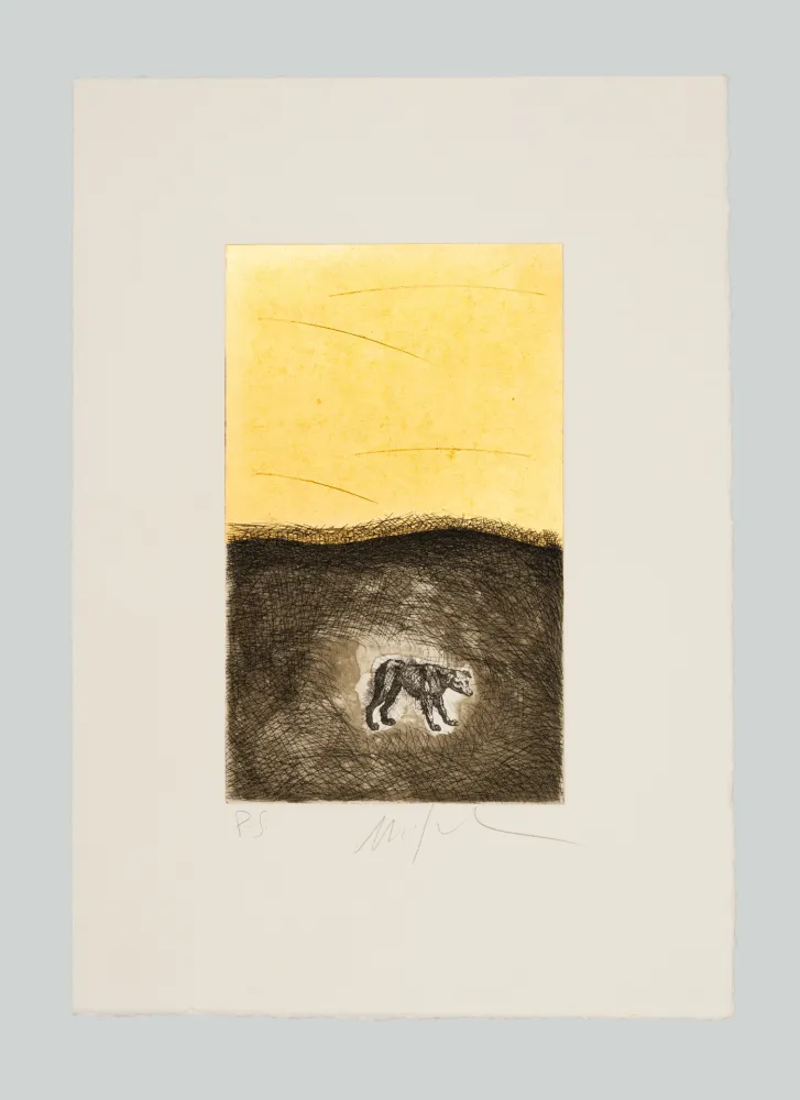 エッチングと　アクチアント Paladino - Cane