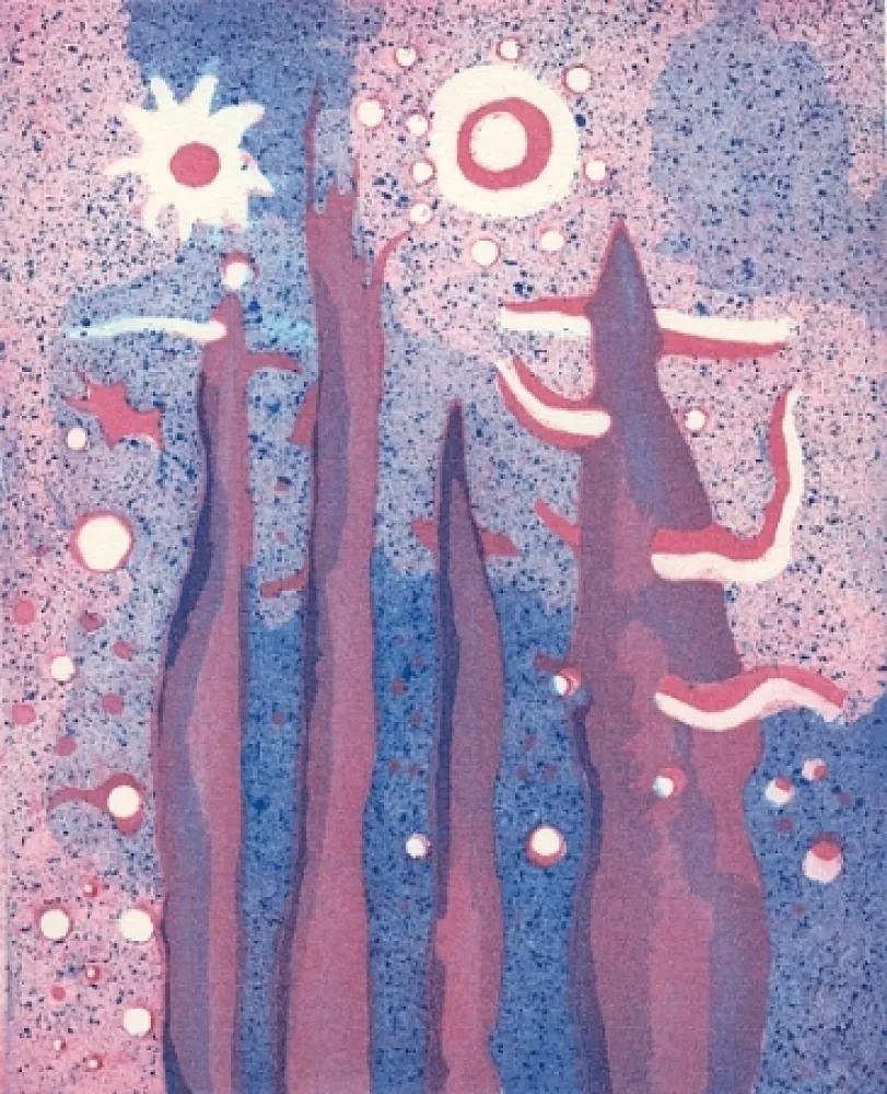 挿絵入り本 Paladino - Piano-sequenza