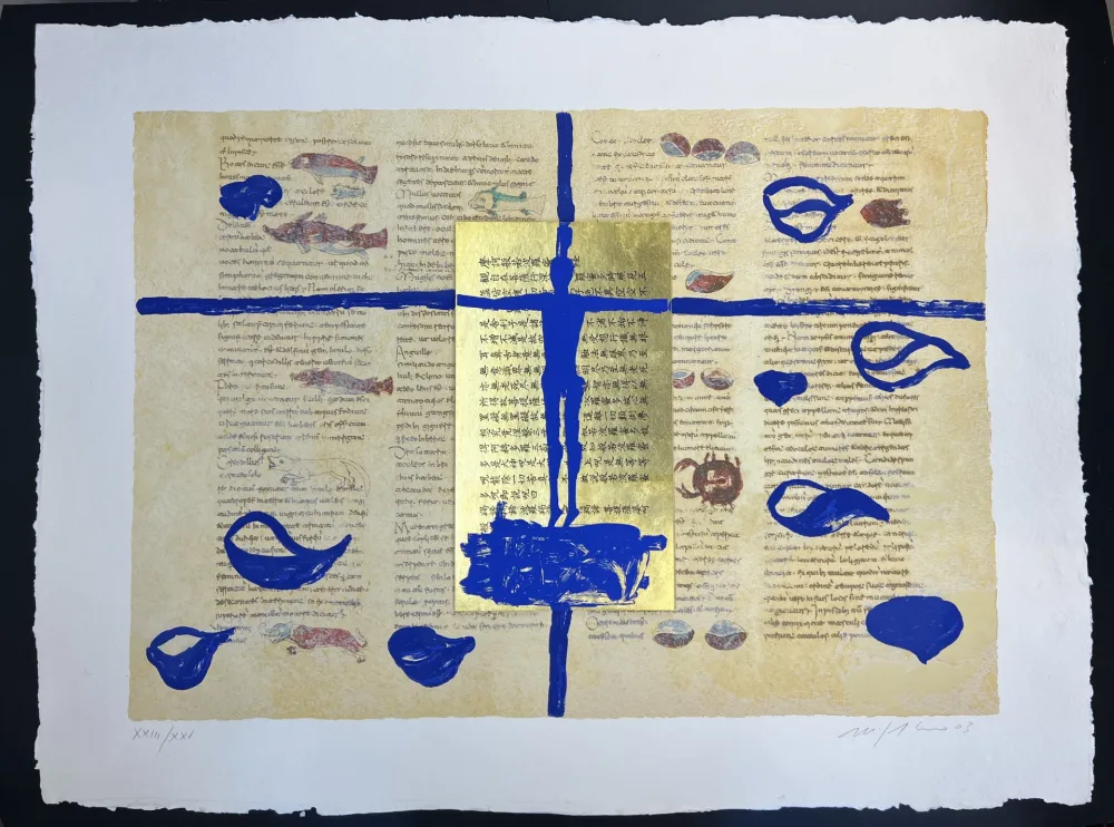 多数の Paladino - RABANUS MAURUS - De Universo 6