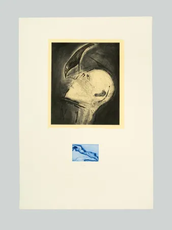 エッチングと　アクチアント Paladino - Senza titolo