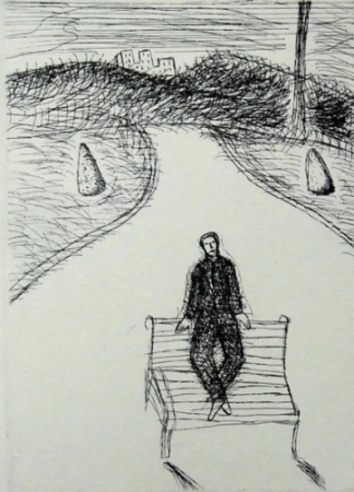 ポイントーセッシュ Paladino - Senza titolo