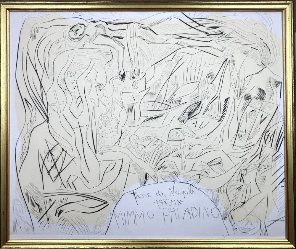 アクチアント Paladino - Tane di Napoli 