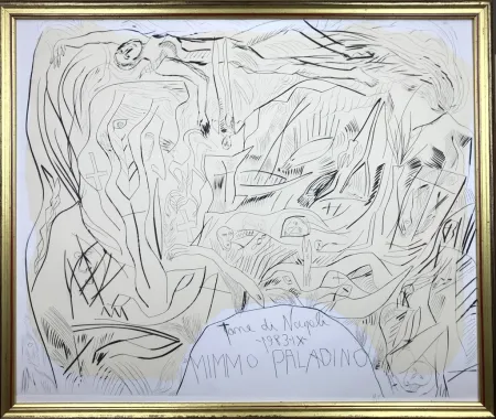 アクチアント Paladino - Tane di Napoli 