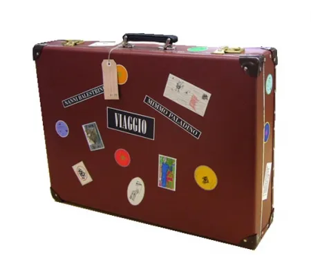 技術的なありません Paladino - 