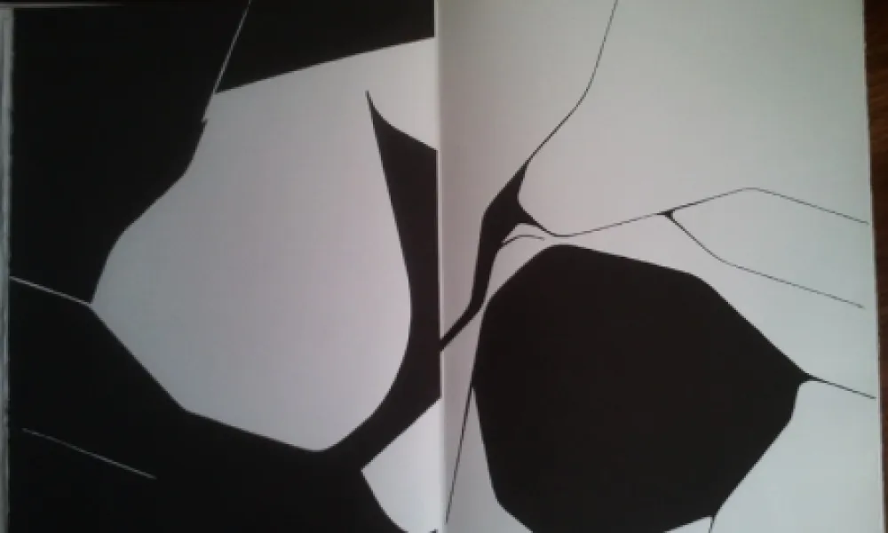 挿絵入り本 Palazuelo - DLM 137 LUXE.