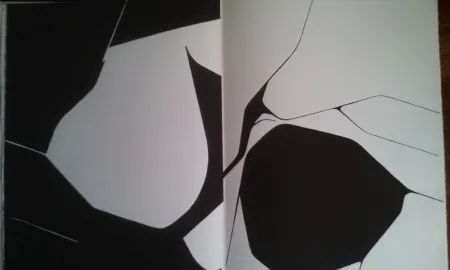 挿絵入り本 Palazuelo - DLM 137 LUXE.