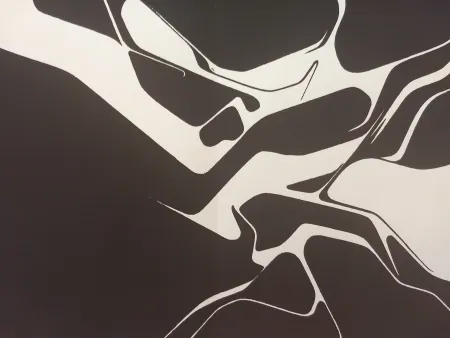 挿絵入り本 Palazuelo - Edition Tete DLM 137