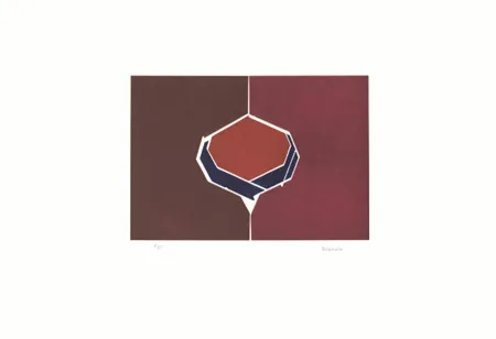 アクチアント Palazuelo - Oin I