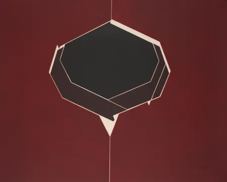 アクチアント Palazuelo - Oin III