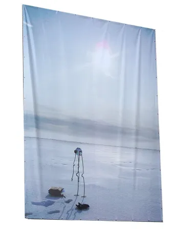 多数の Panamarenko - Noordpool-Arlikoop