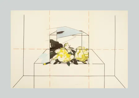 リトグラフ Paolini - Come è / Come se