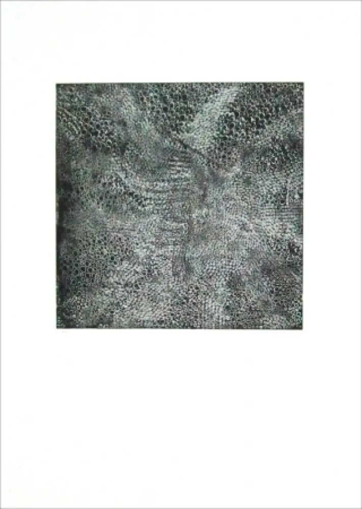 エッチング Parant - Eboulement pour le ciel