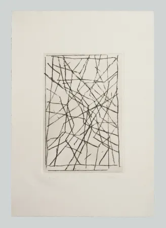 彫版 Pardi - Tiranti