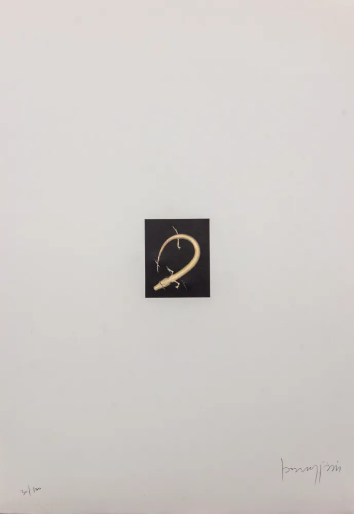 リトグラフ Parmiggiani - SENZA TITOLO