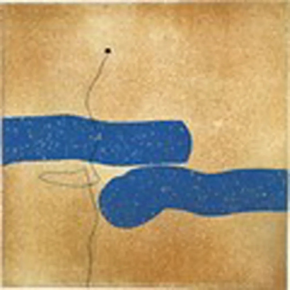 彫版 Pasmore - Images on the Wall Print D